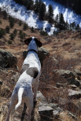 Hewlett Gulch Peaks, Poudre Canyon, Colorado
