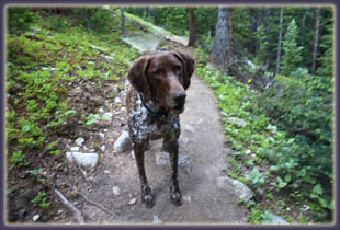 Hiking Mt Huron