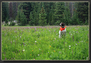 Huston Park Wilderness, WYoming