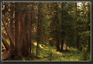 Huston Park Wilderness, WYoming