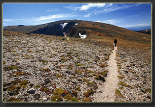 Mt Ida, Rocky Mountain National Park, Colorado