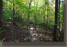 Walls of Jericho, Alabama-Tennessee