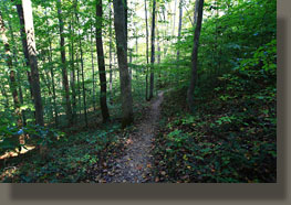 Walls of Jericho, Alabama-Tennessee