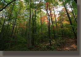 Walls of Jericho, Alabama-Tennessee