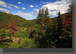 King Lake Colorado