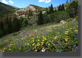 King Lake Colorado