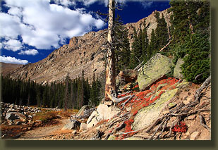 Lawn Lake trail