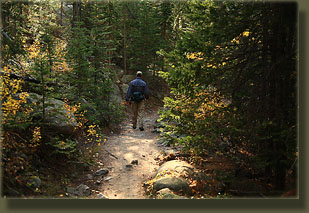 Dave hiking on the Lawn Lake Trail