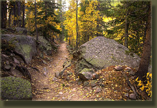 Lawn Lake Trail in fall