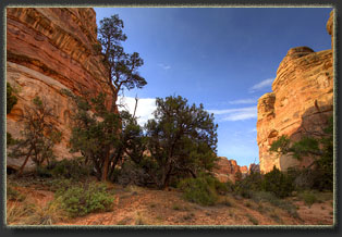 Hiking in the Maze, Canyonlands National Park, Utah