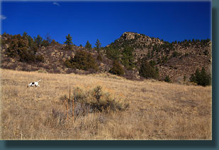 Henry and Lonetree Mt