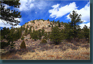 Lonetree Mt