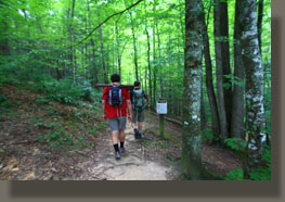 Meigs Creek Trail, TN