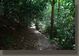 Meigs Creek Trail, TN