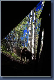 Makenzie explores a natural arch