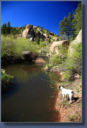 Frank at a beaver pond in Monument Canyon