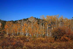 Mt Margaret Trail, Colorado