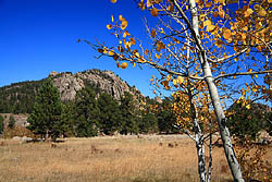 Mt Margaret Trail in the fall