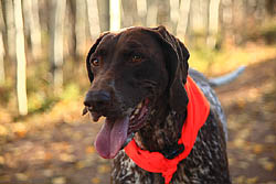 Makenzie enjoying her hike