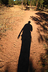 Long shadows on the way back
