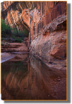 White Canyon near Kachina Bridge