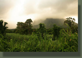 Fields near the TH