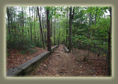 Piney Falls