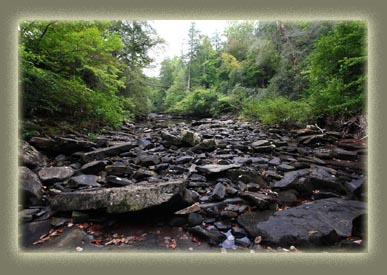 Piney Falls