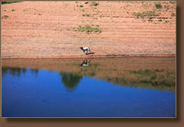 Rampart Reservoir