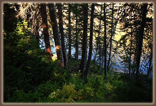 Rainbow Lake through the trees, Mt Zirkel Wilderness, Colorado