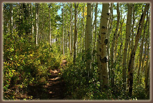 Rainbow Lake Trail, Mt Zirkel Wilderness, Colorado