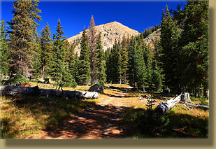 Trail to Ruby Jewel Lake