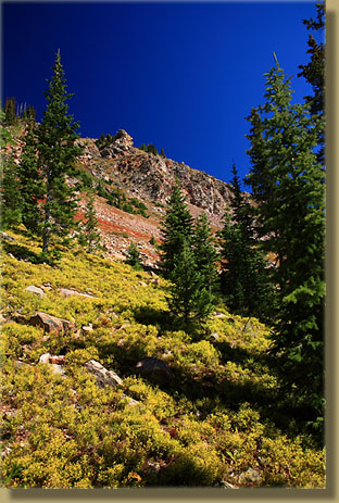 Colorado State Forest near Ruby Jewel Lake