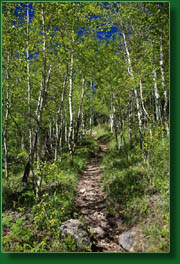Sandbeach Lake Trail