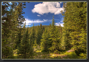 Second Creek trail near Berthoud Pass, Colorado