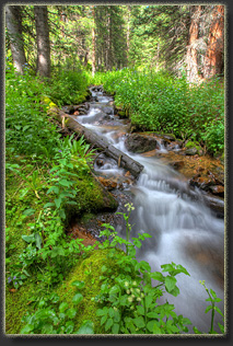 Second Creek trail near Berthoud Pass, Colorado