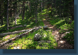 Seven Lakes Trail