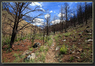 Sheep Mountain, Snowy Range, Wyoming