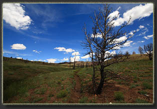 Sheep Mountain, Snowy Range, Wyoming