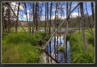 Sheep Mountain, Snowy Range, Wyoming