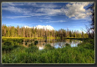Sheep Mountain, Snowy Range, Wyoming