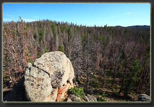 Sheep Mountain, Snowy Range, Wyoming