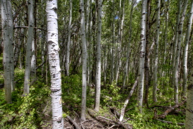 Sierra Madre Rim, Wyoming