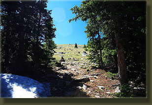 Trail goes above treeline