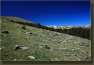 Tundra on the north face of Signal Mt
