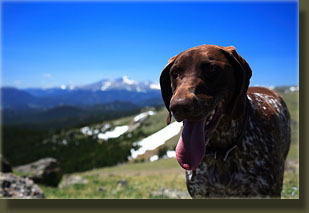 Makenzie on Signal Mt