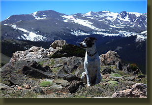 Frank on Signal Mt, watching nature