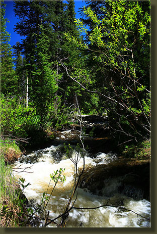 Pennock Creek in full spring runoff