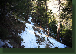 Icy switchbacks on the Timber Trail
