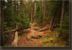 Stormy Peaks trail, Colorado